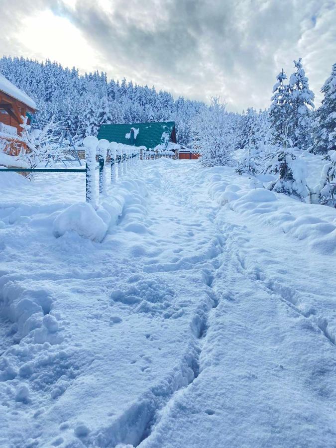 Vikendice Itana Villa Zabljak  Luaran gambar