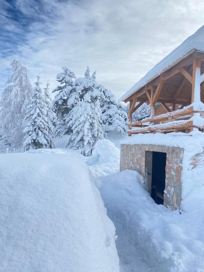 Vikendice Itana Villa Zabljak  Luaran gambar