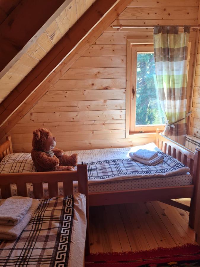 Vikendice Itana Villa Zabljak  Luaran gambar