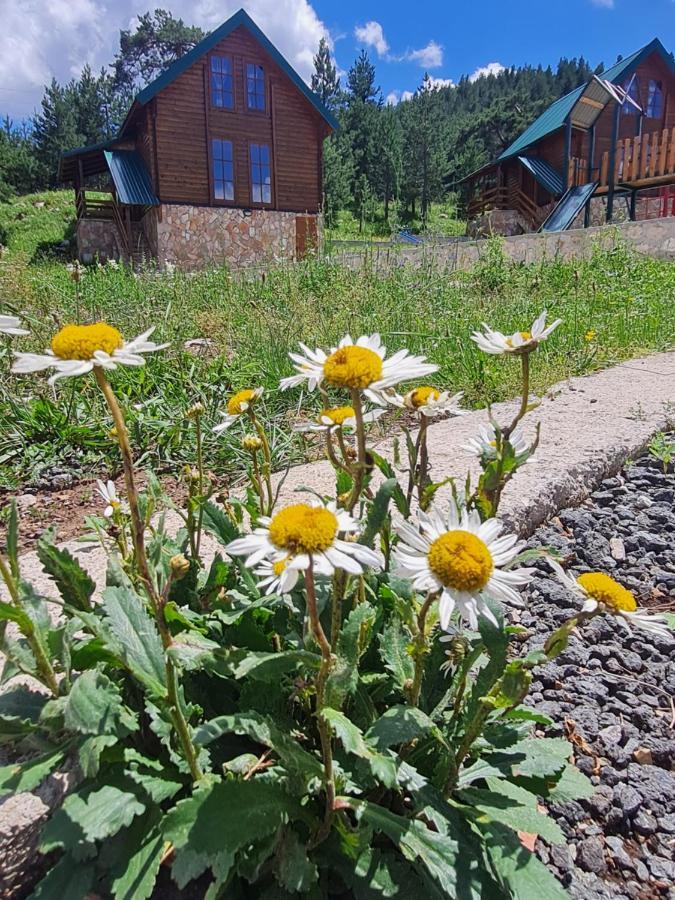 Vikendice Itana Villa Zabljak  Luaran gambar